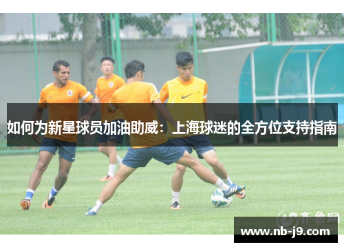 如何为新星球员加油助威：上海球迷的全方位支持指南