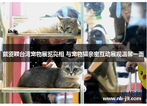 戴资颖台湾宠物展览亮相 与宠物猫亲密互动展现温馨一面