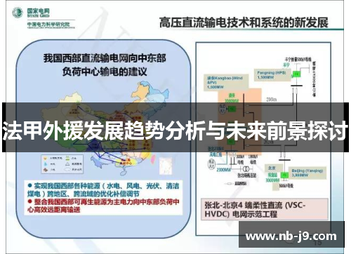 法甲外援发展趋势分析与未来前景探讨 法甲外援发展趋势分析与未来前景探讨