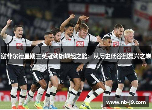 谢菲尔德星期三英冠劲旅崛起之路:从历史低谷到复兴之巅 谢菲尔德星期三英冠劲旅崛起之路:从历史低谷到复兴之巅
