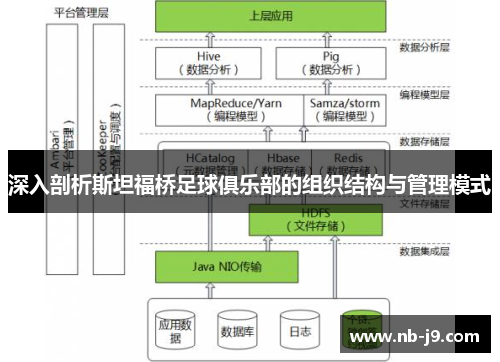 深入剖析斯坦福桥足球俱乐部的组织结构与管理模式
