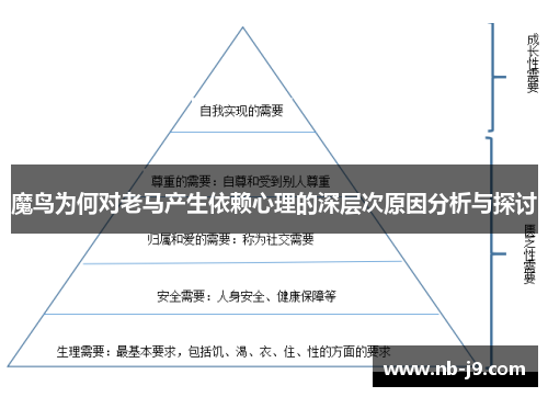 魔鸟为何对老马产生依赖心理的深层次原因分析与探讨